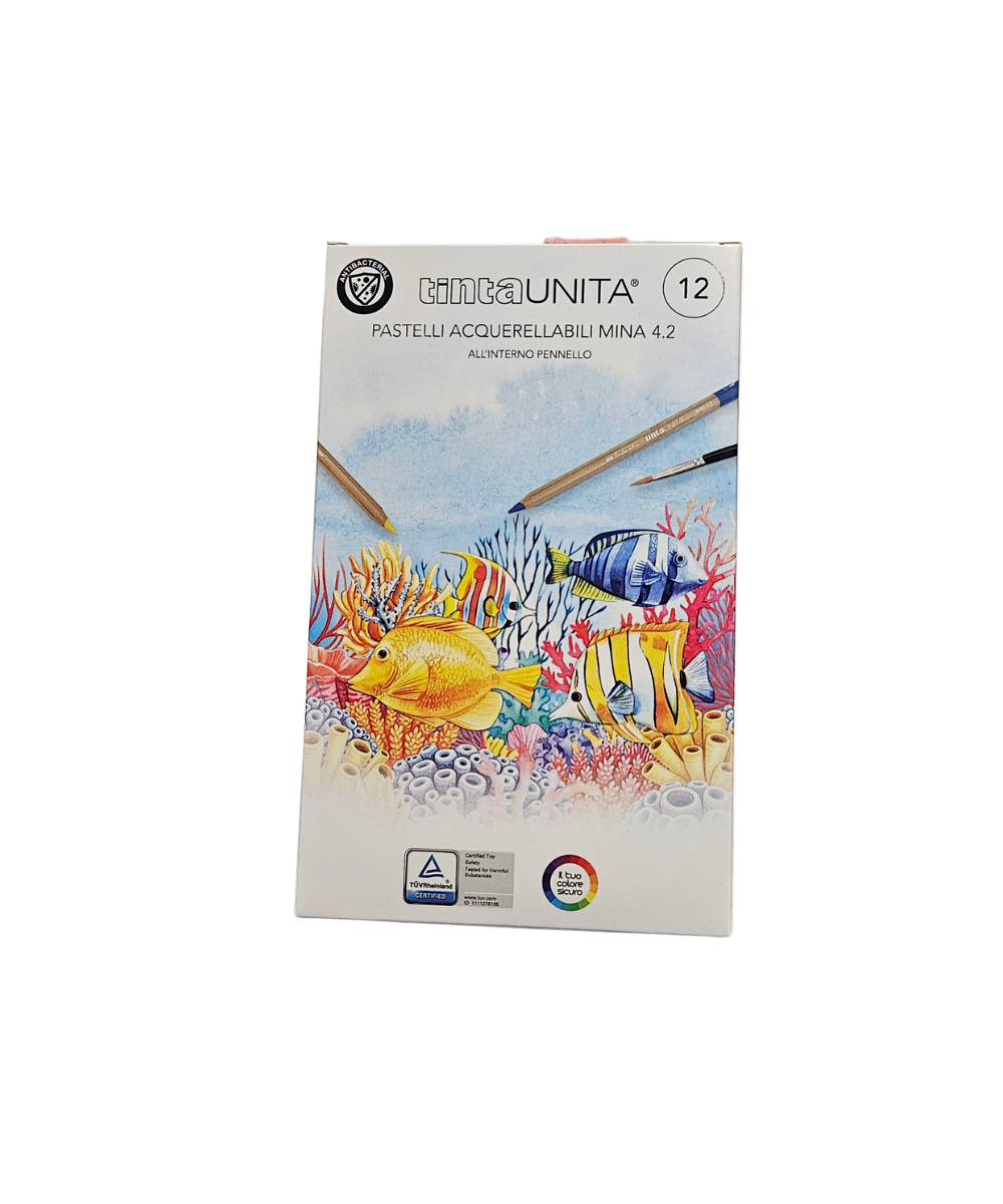 Pacco 12 Pastelli Acquerellabili Mina 4.2 TintaUnita