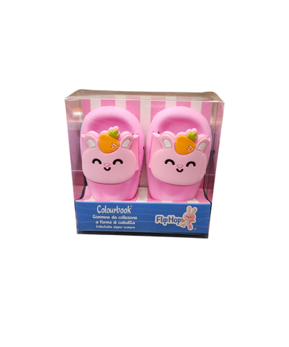 Set Due Gomme Per Cancellare Colourbook Flip Flop