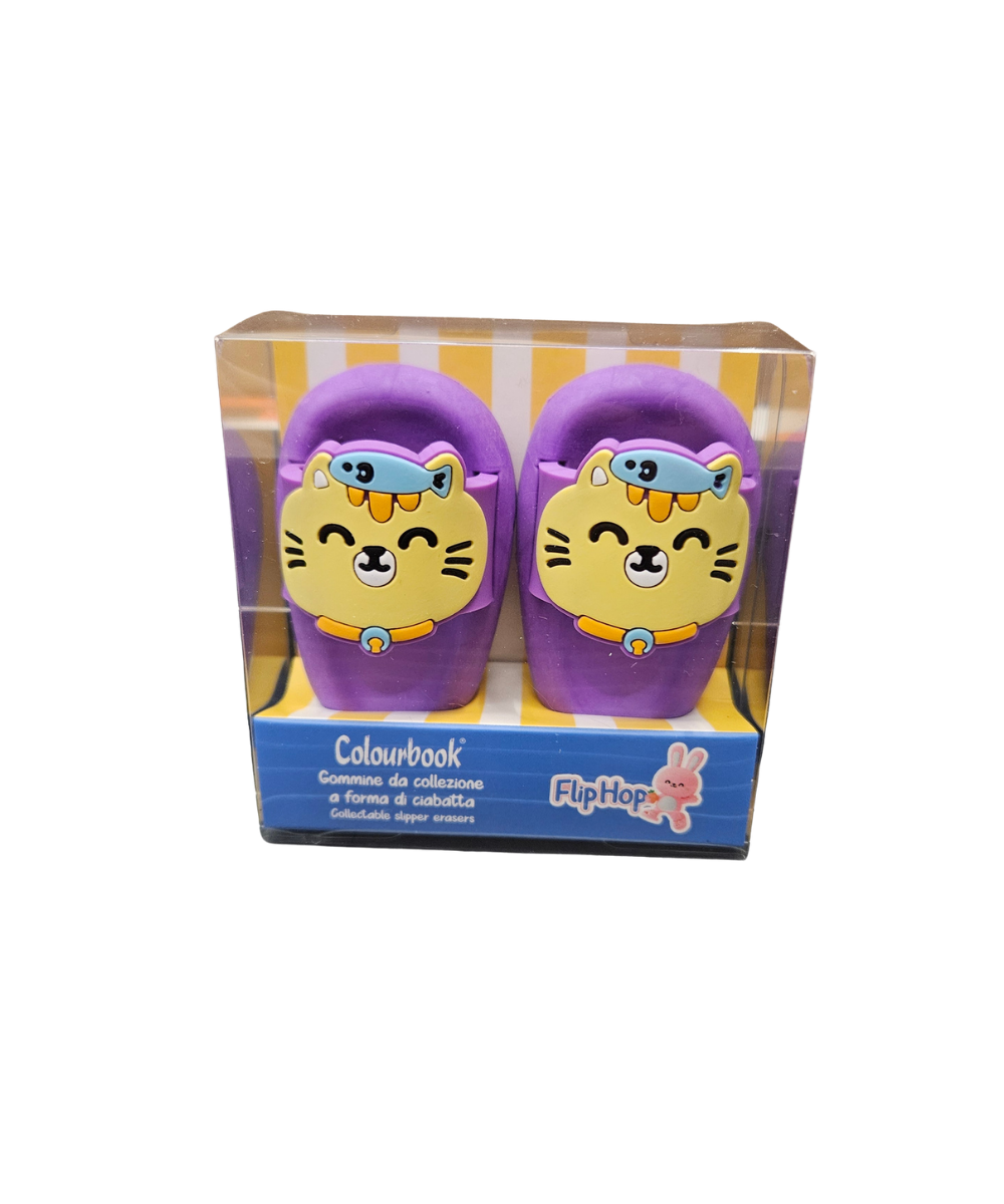 Set Due Gomme Per Cancellare Colourbook Flip Flop