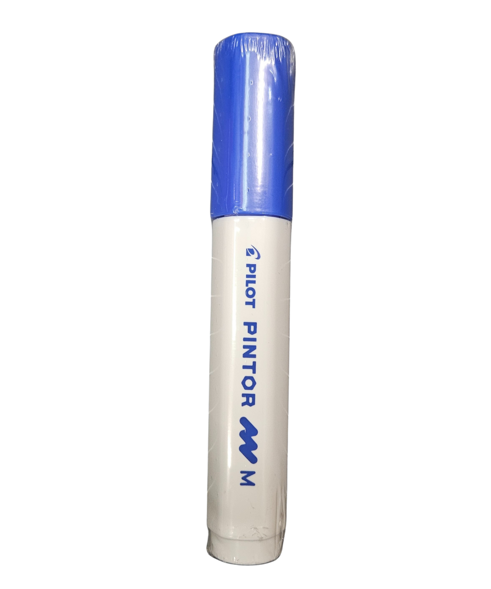 Pilot Pintor