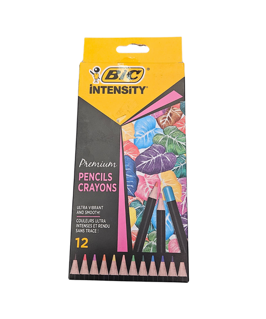 Confezione 12 Premium Pencils Bic Intensity