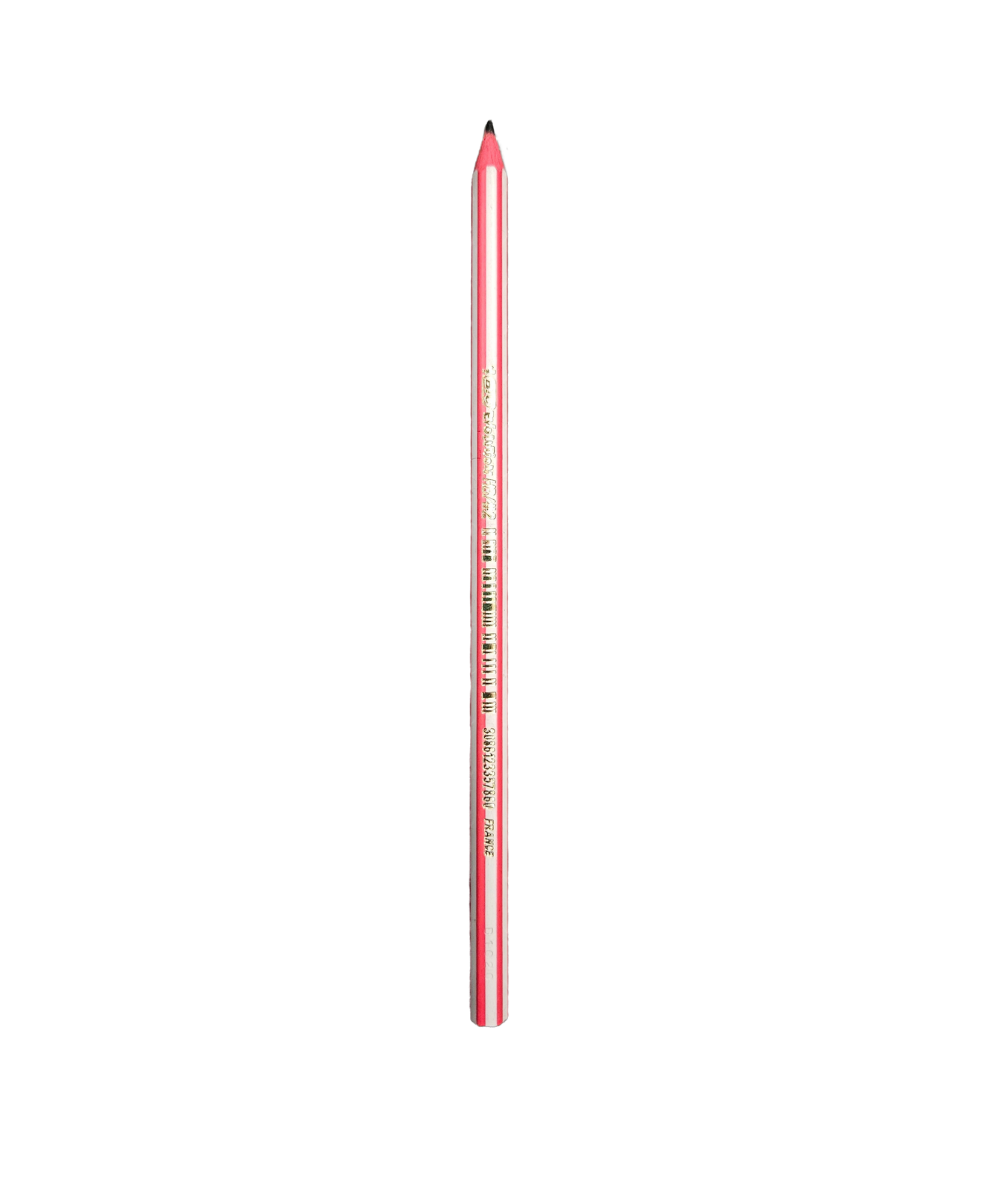 Matita Bic Evolution