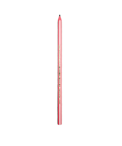 Matita Bic Evolution