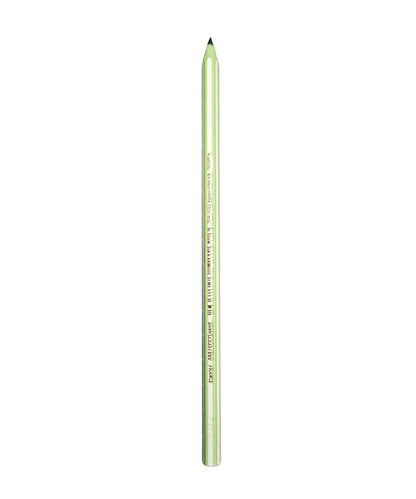 Matita Bic Evolution