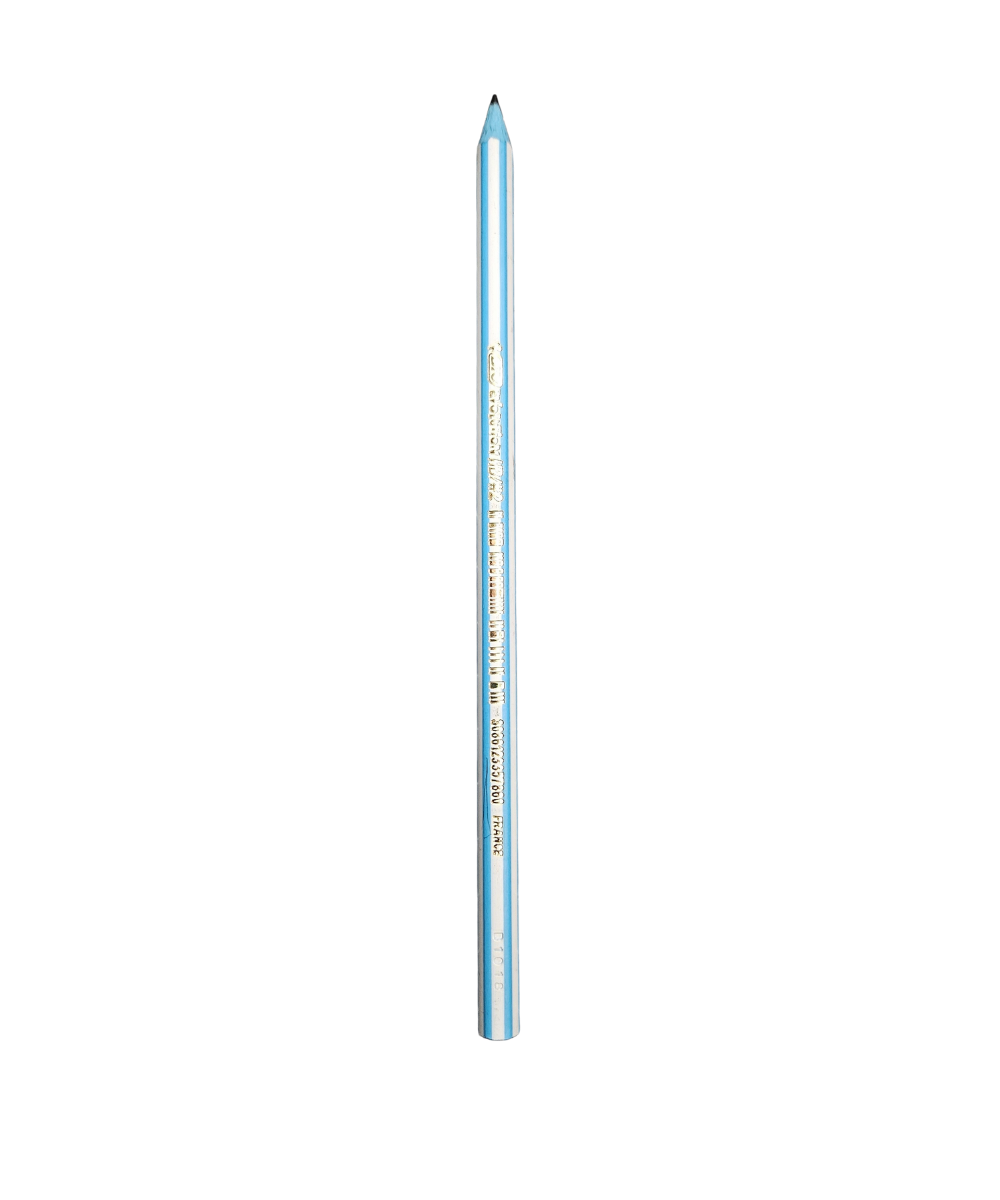 Matita Bic Evolution
